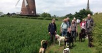Turner and Pooch Long Walk
